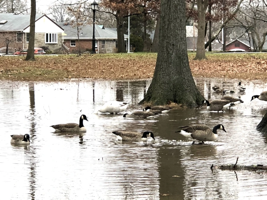 IMG_9672.jpg?type=w966