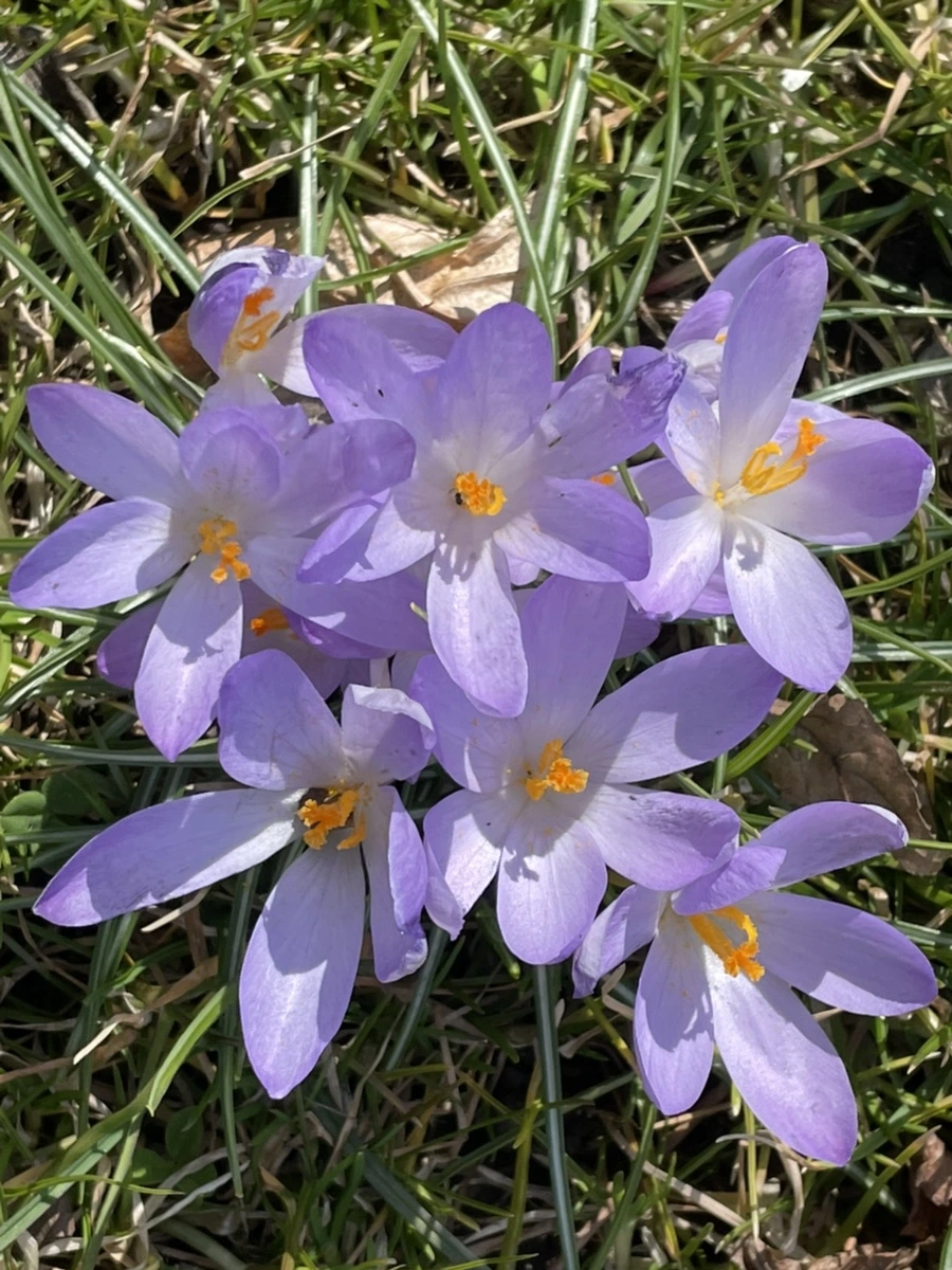 IMG_5336.jpg?type=w966