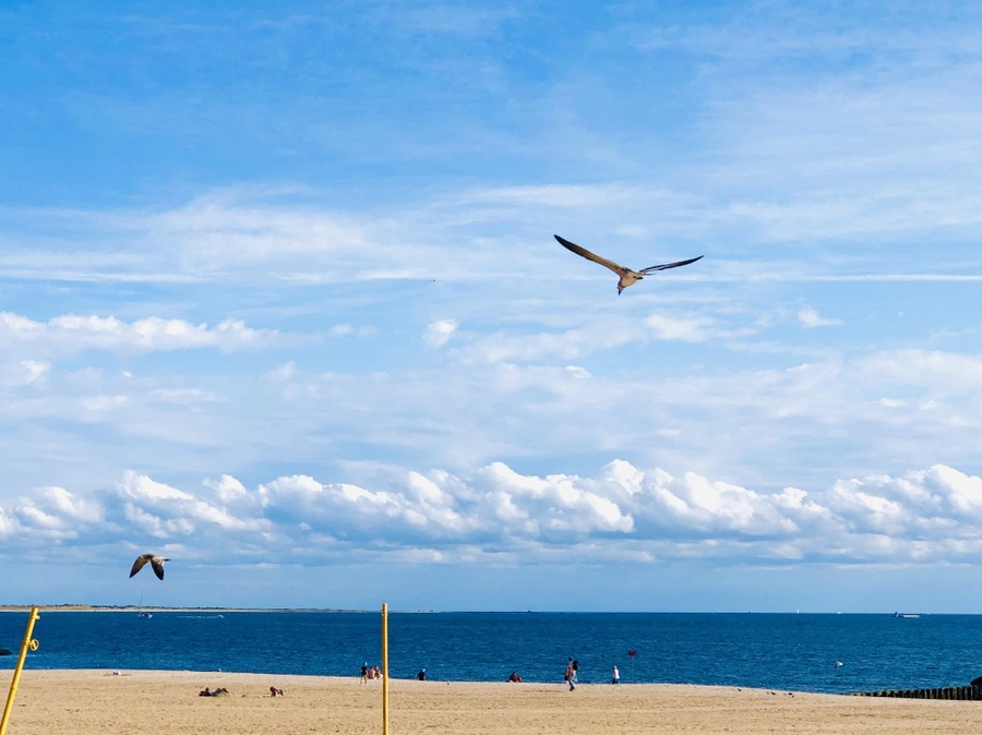 IMG_1369.jpg?type=w966