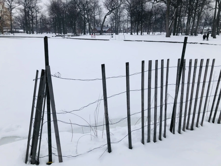 IMG_1543.jpg?type=w966