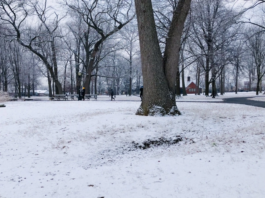 IMG_4485.jpg?type=w966