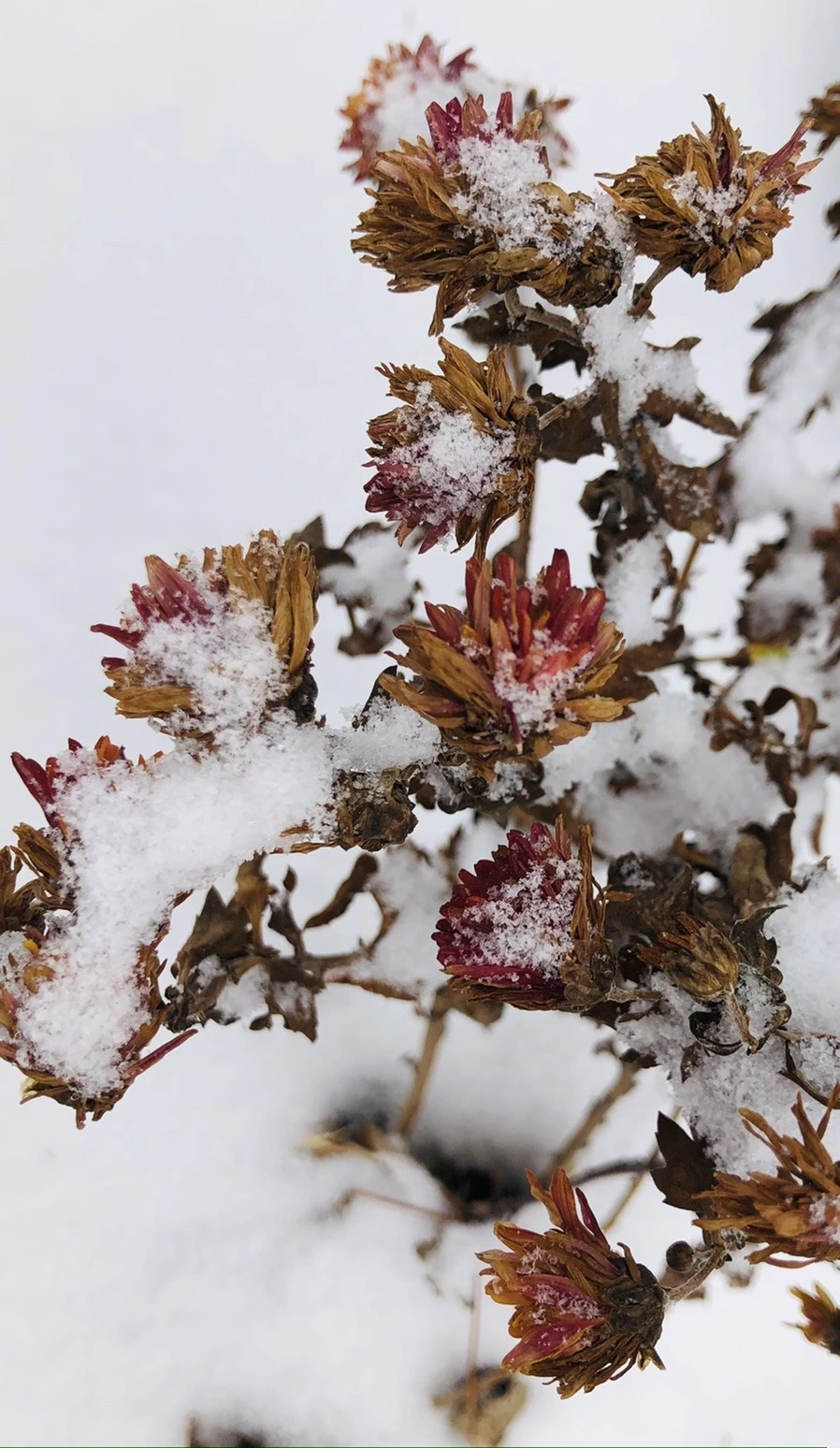 qsuT-sBM5mAy4pv6czzlq8P3MyI