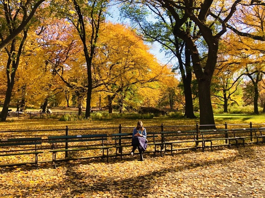 IMG_4302.jpg?type=w966