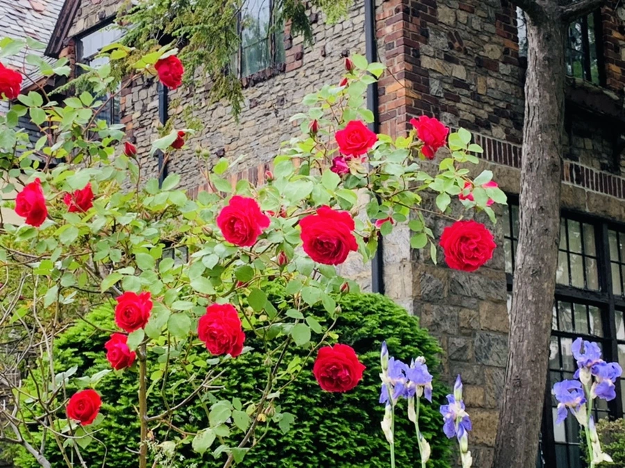 IMG_4813.jpg?type=w966