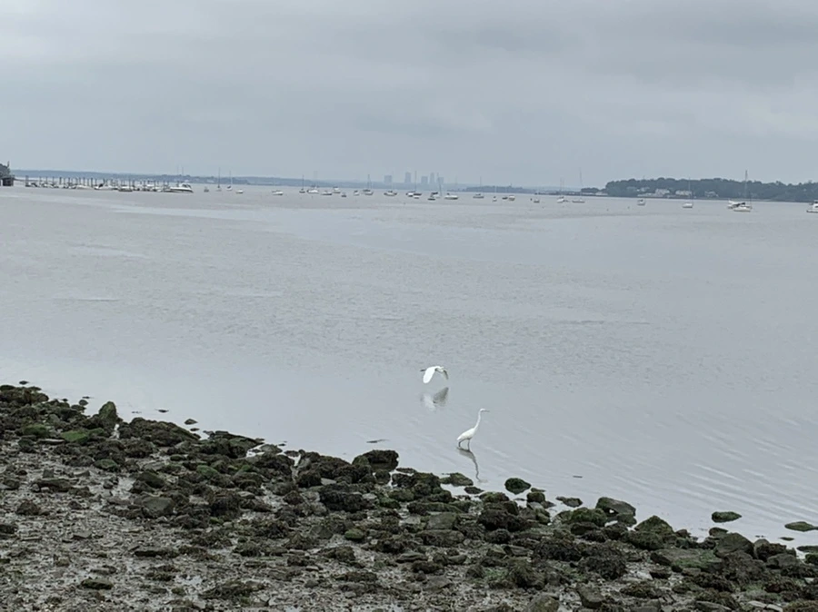 IMG_3657.jpg?type=w966