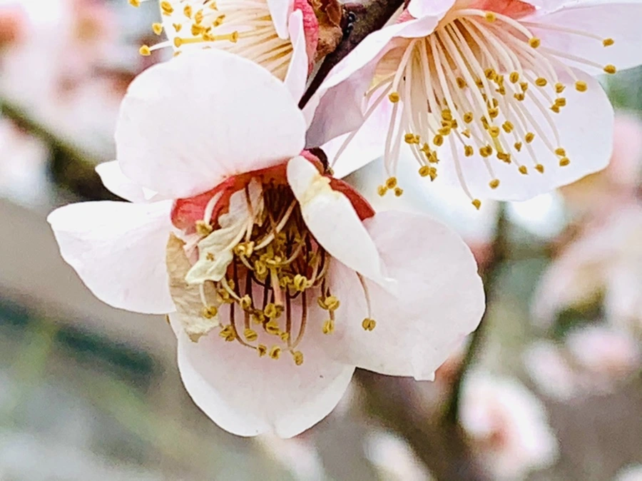 IMG_3595.jpg?type=w966