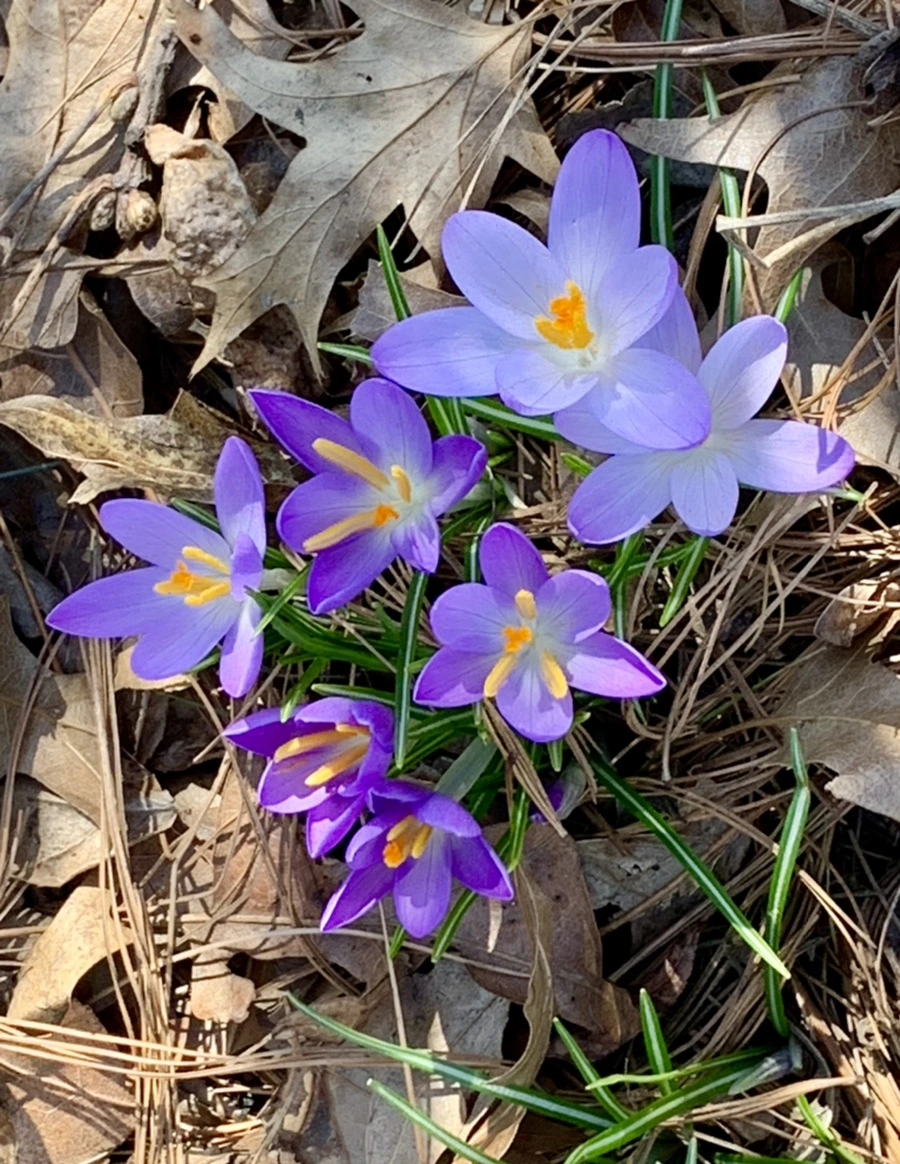 IMG_9744.jpg?type=w966