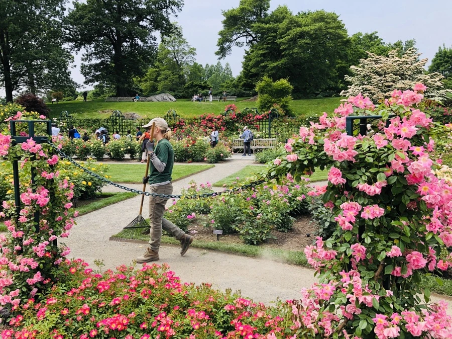 IMG_5700.jpg?type=w966