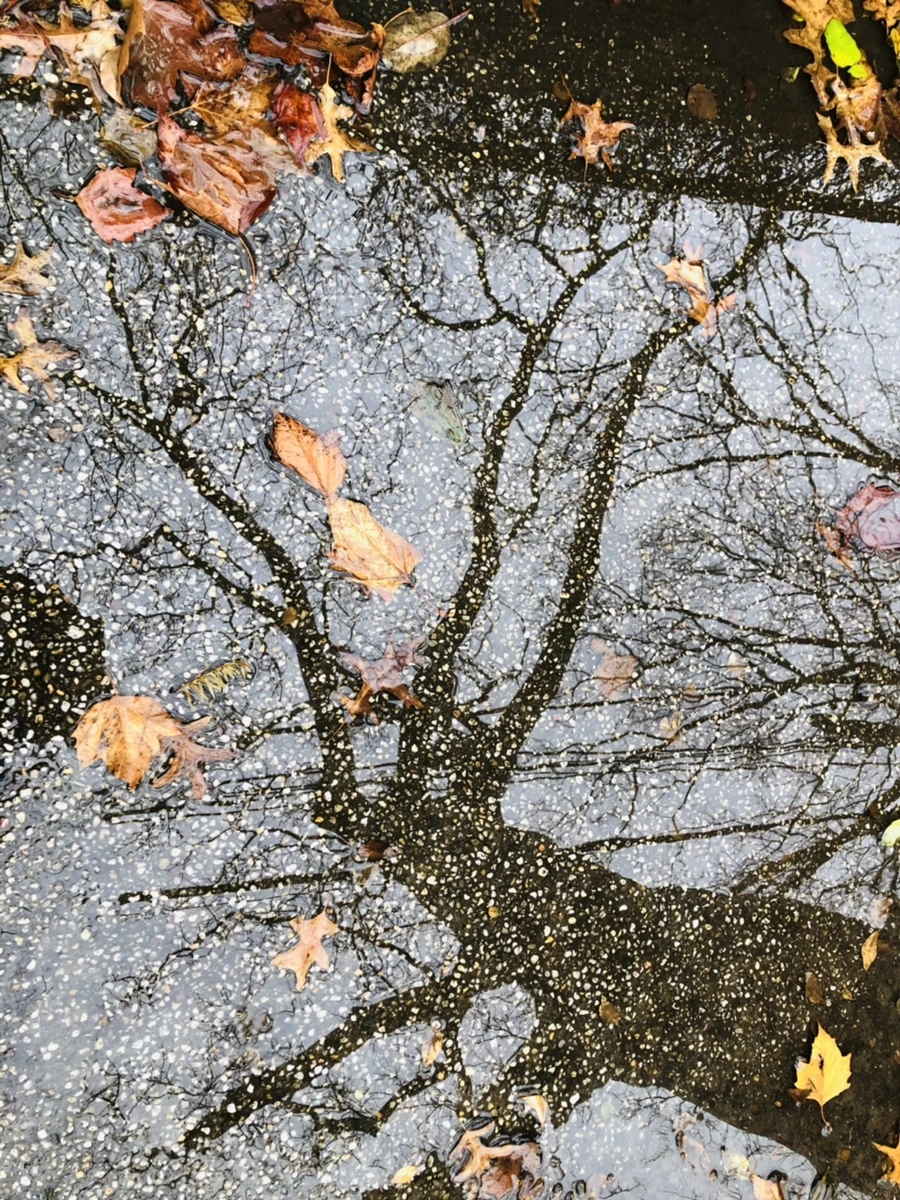 IMG_8140.jpg?type=w966