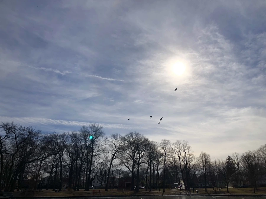 IMG_5664.jpg?type=w966