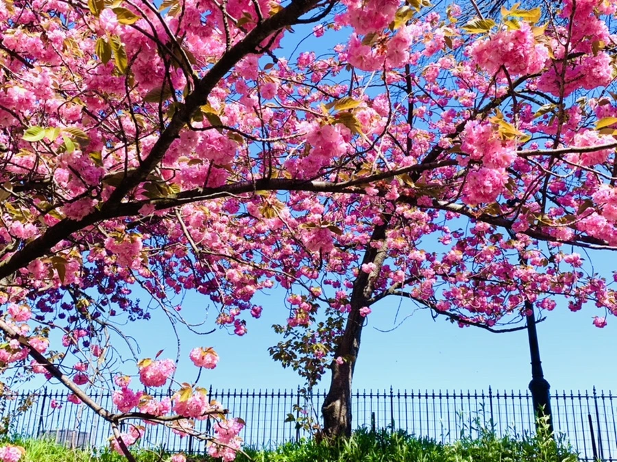 IMG_5959.jpg?type=w966