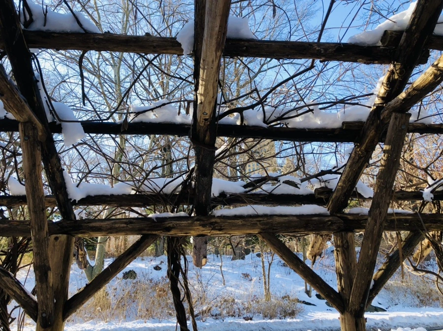 IMG_9902.jpg?type=w966