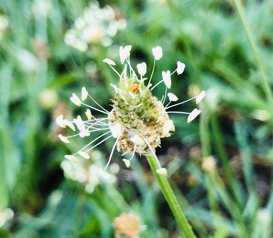 GT9NSJQ1xH0M3AWdBB2MzW9Y0KI