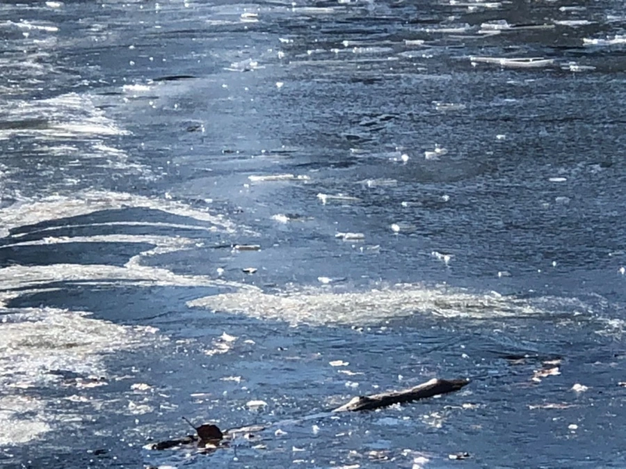 IMG_6627.jpg?type=w966