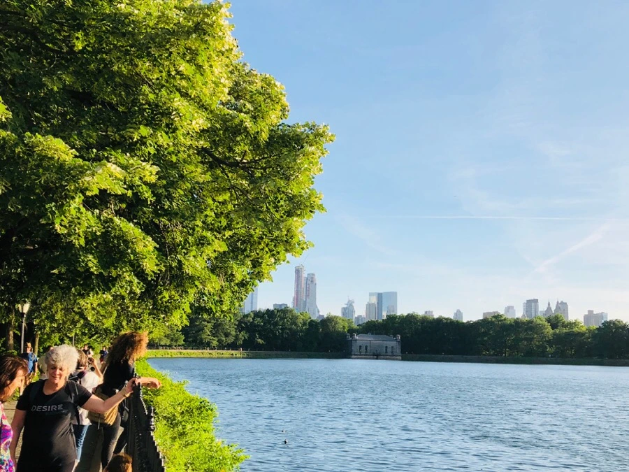 IMG_7670.jpg?type=w966