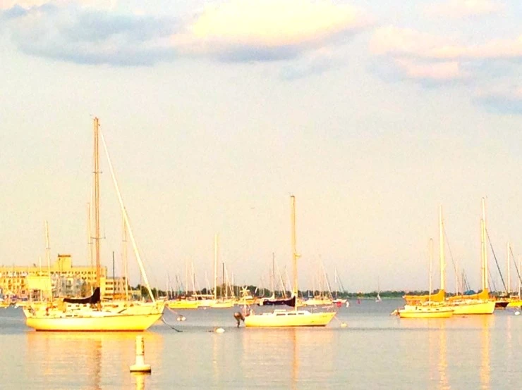 IMG_9709.JPG?type=w1