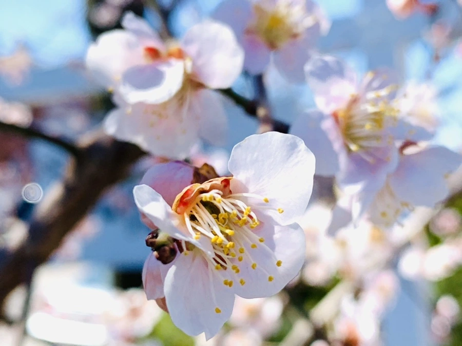 IMG_1318.jpg?type=w966