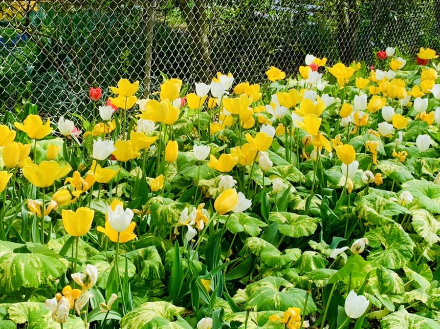 IMG_6915.jpg?type=w966