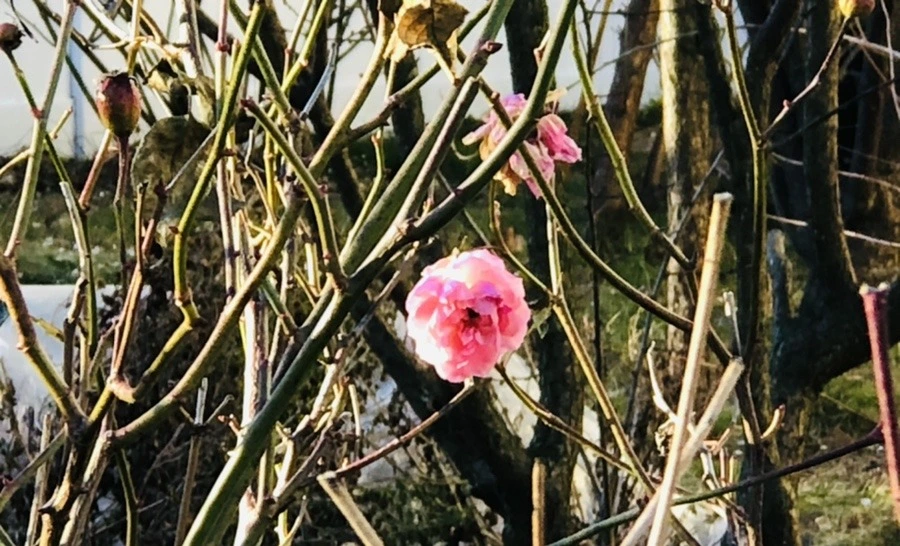 7rq1zDDvnXwarazXeLsb1RcJrxk