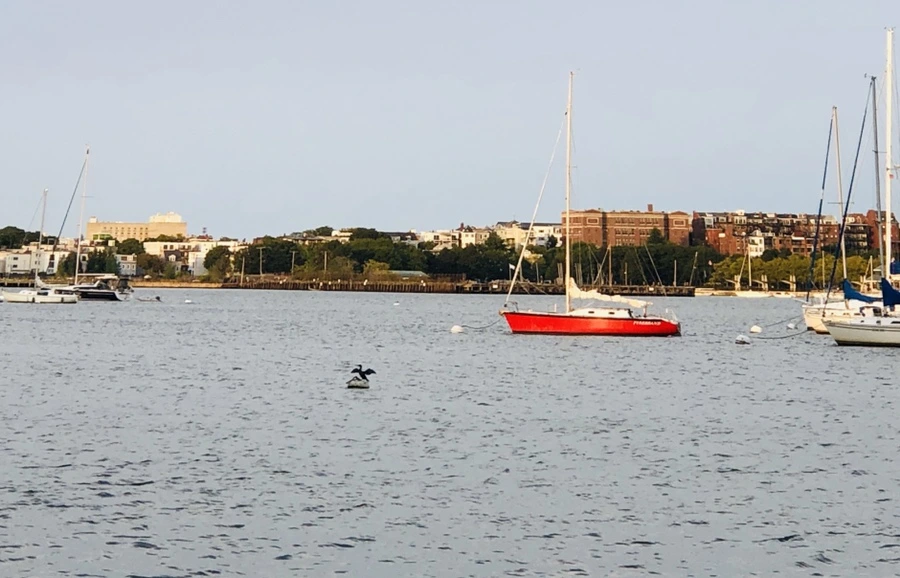 IMG_0646.jpg?type=w966