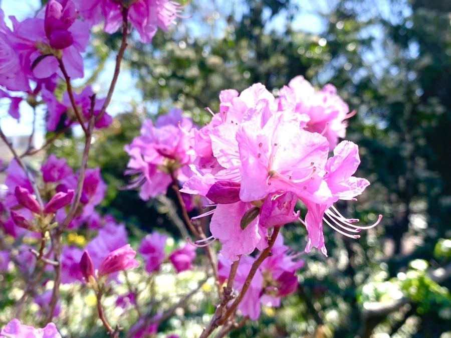 IMG_5648.jpg?type=w966