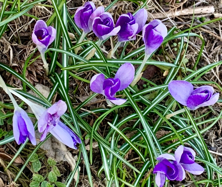 IMG_0759.jpg?type=w966