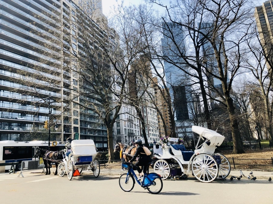 IMG_6453.jpg?type=w966