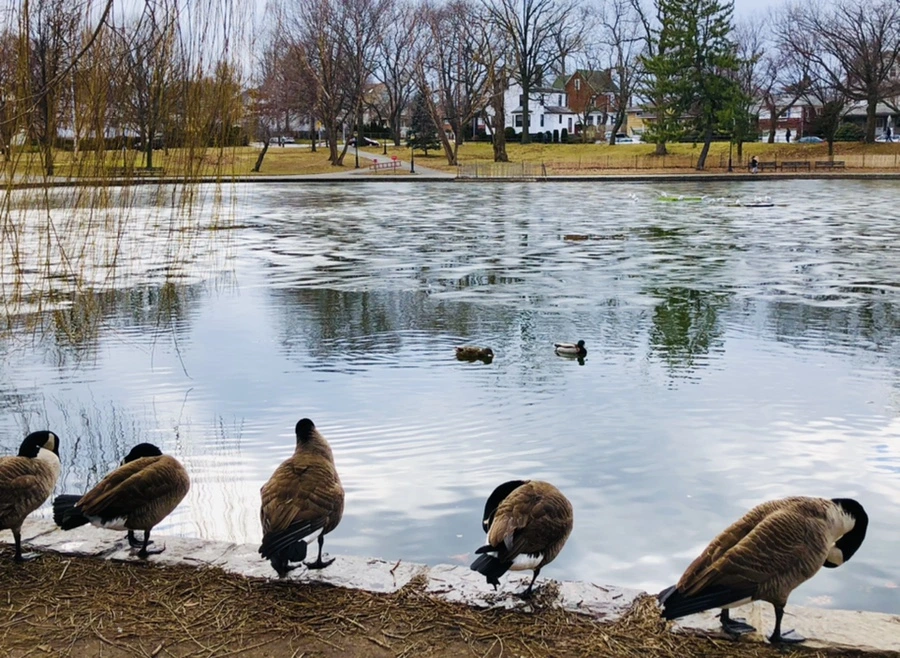 IMG_5058.jpg?type=w966