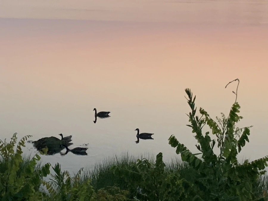 IMG_1844.jpg?type=w966