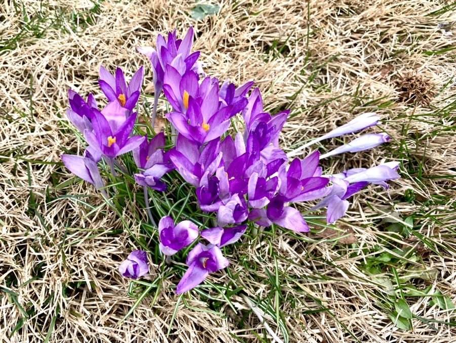 IMG_1079.jpg?type=w966