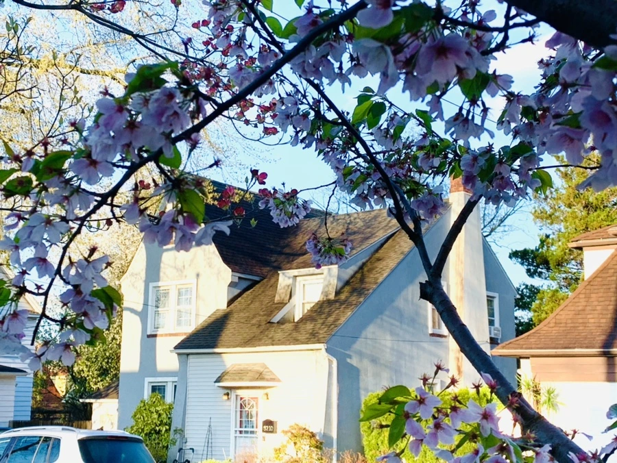 IMG_2444.jpg?type=w966