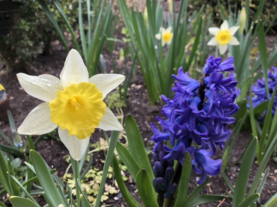 IMG_2361.jpg?type=w966