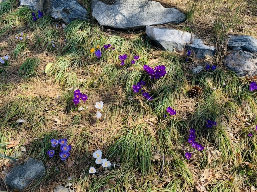 IMG_2972.jpg?type=w966