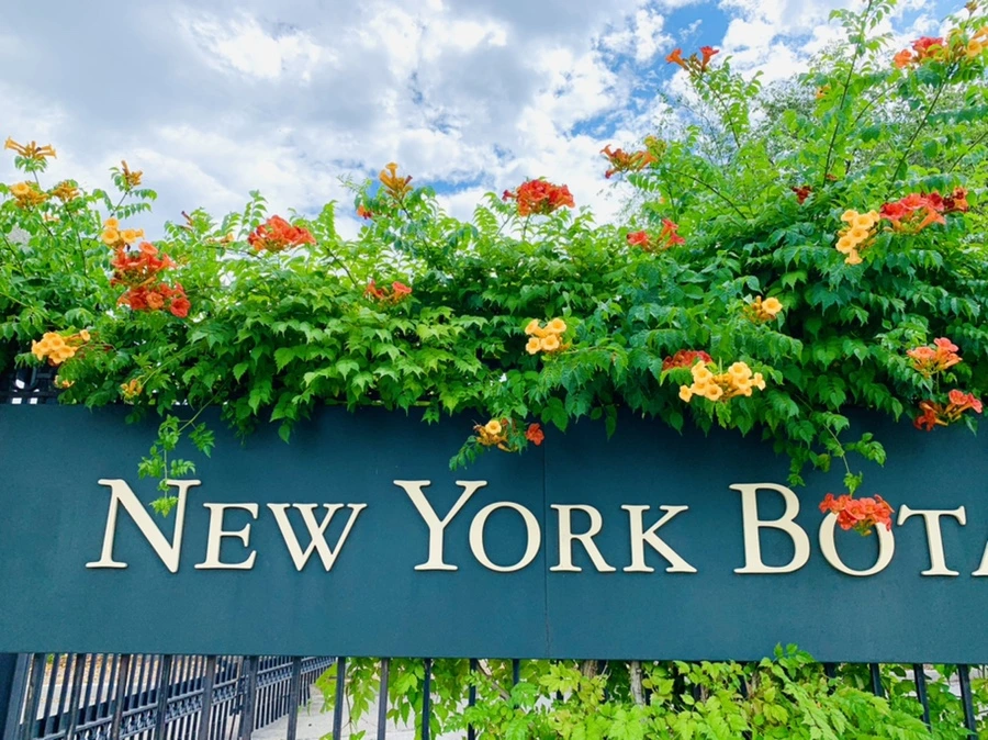 IMG_9154.jpg?type=w966