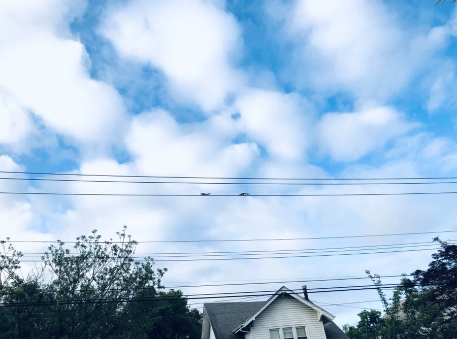 IMG_9677.jpg?type=w966