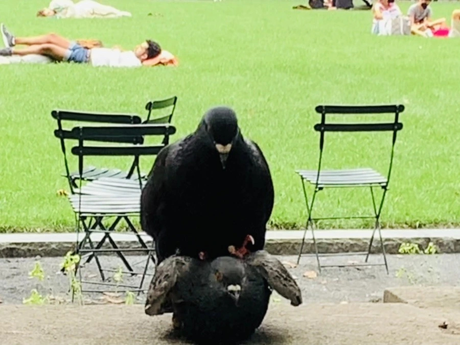 Vwv-U9w70jHsHJNUGfZ0d63OHwk