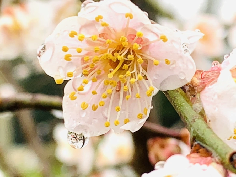 IMG_1958.jpg?type=w966