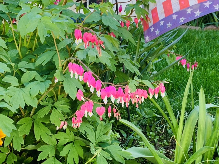 IMG_8453.jpg?type=w966