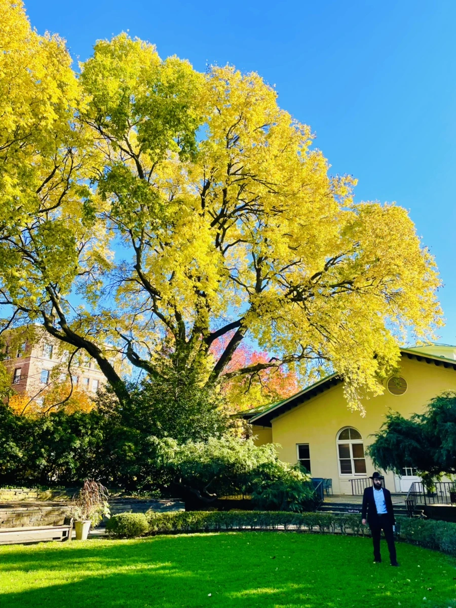 IMG_2081.jpg?type=w966