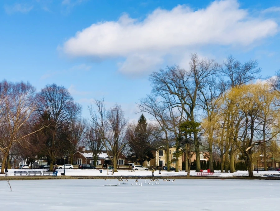 IMG_2851.jpg?type=w966