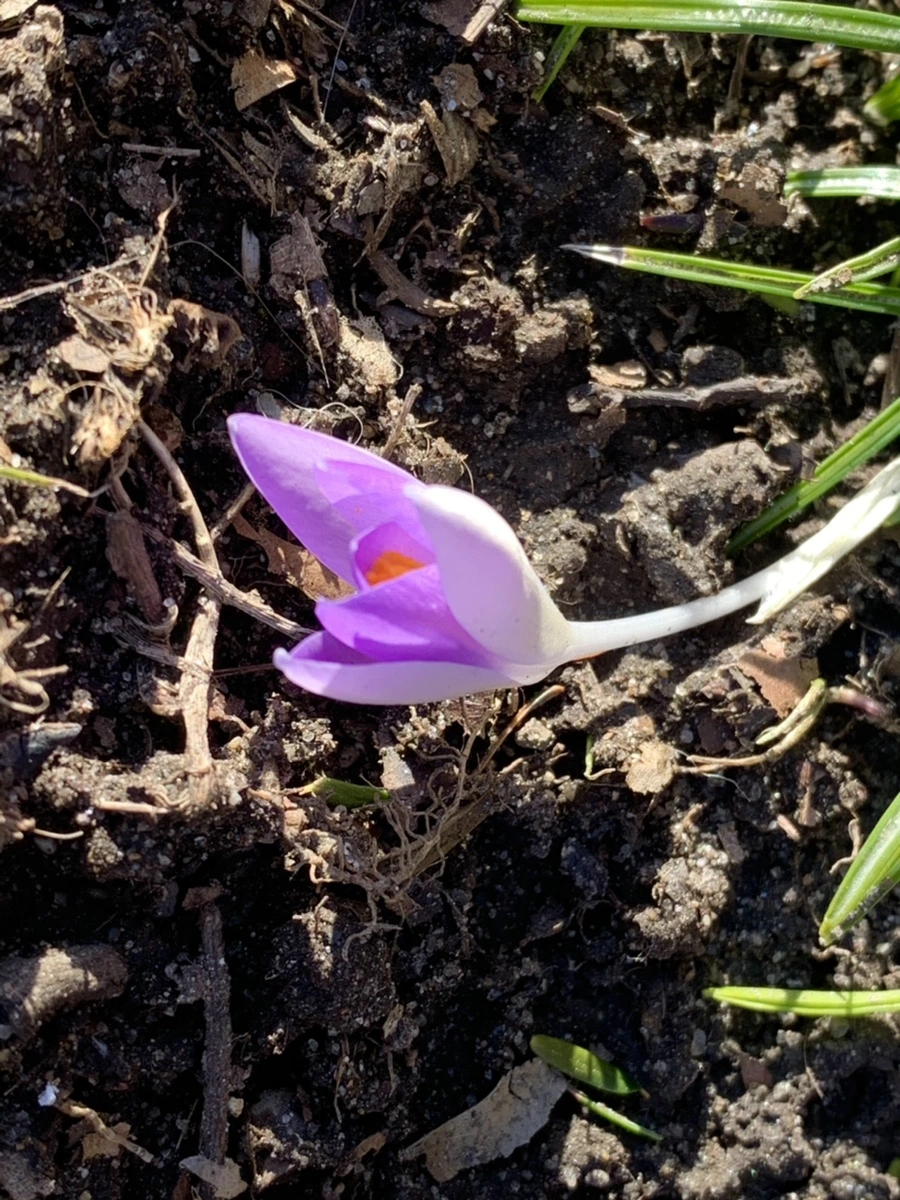 IMG_7487.jpg?type=w966