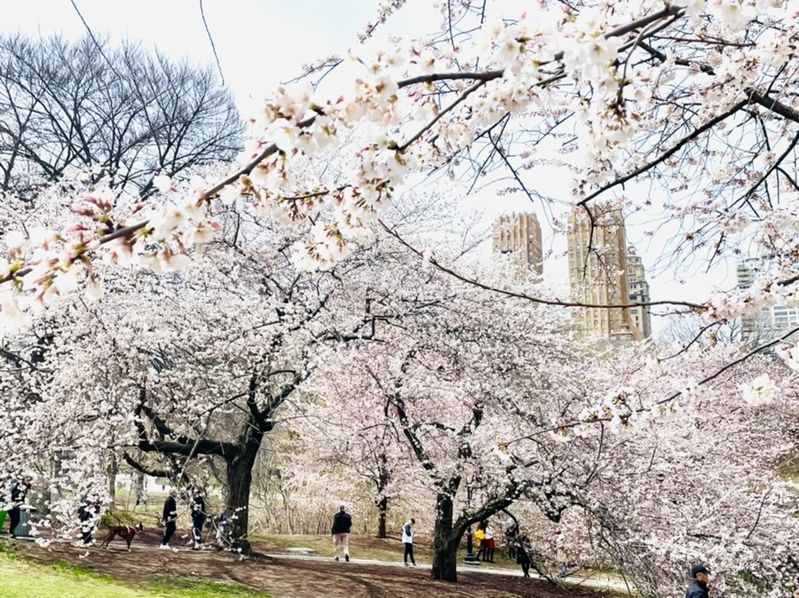 IMG_8830.jpg?type=w966