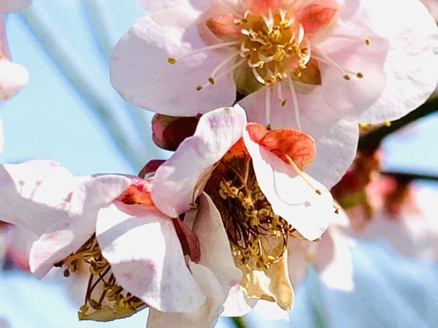 IMG_4207.jpg?type=w966