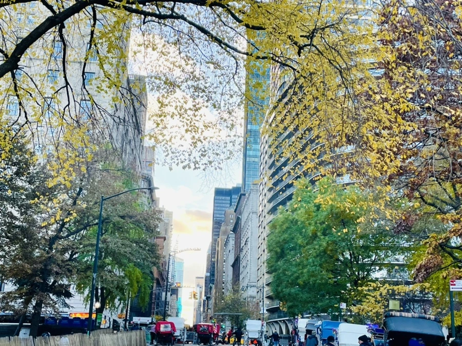 IMG_5081.jpg?type=w966