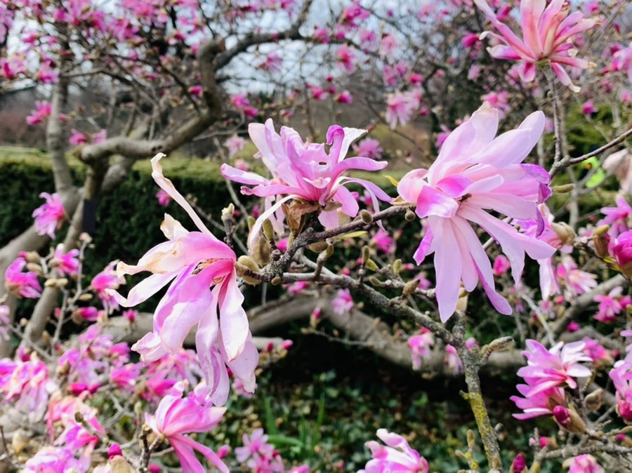 IMG_7249.jpg?type=w966