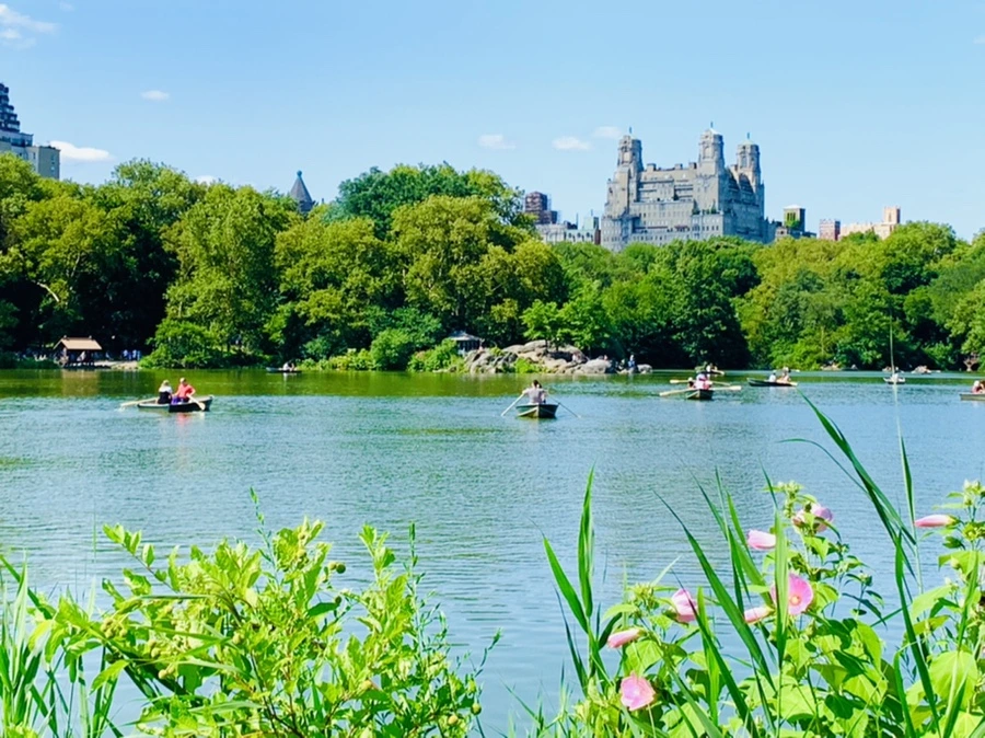 IMG_4454.jpg?type=w966