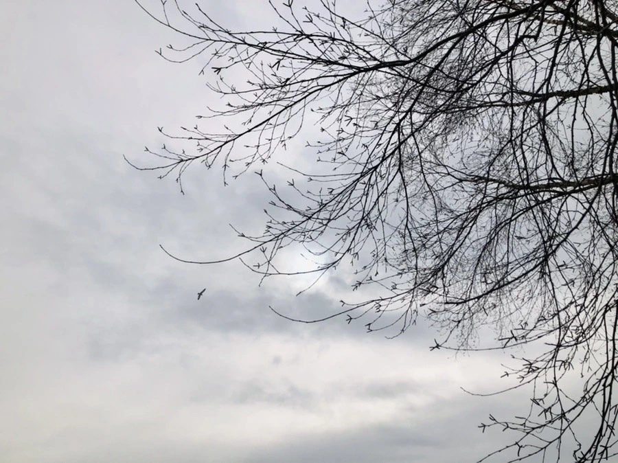 4NQgV50fUs7VValajUNFTB8ZnNE