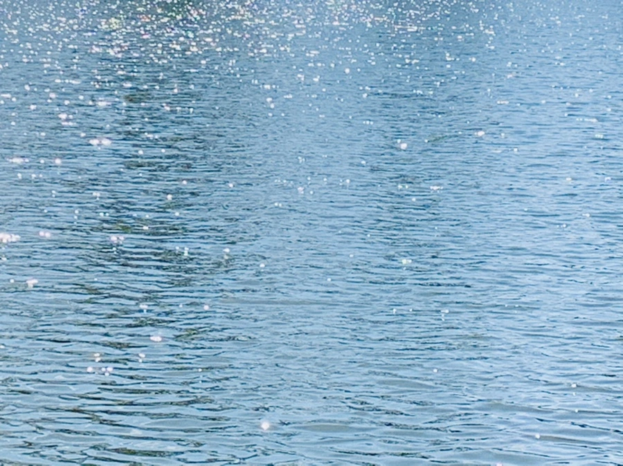 IMG_4455.jpg?type=w966