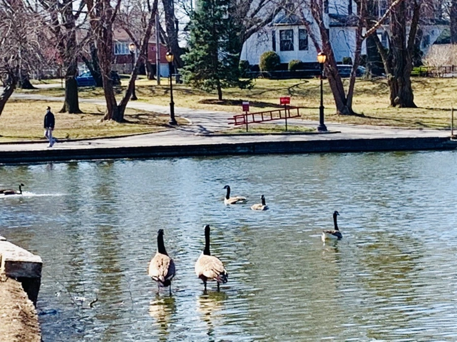 IMG_3074.jpg?type=w966