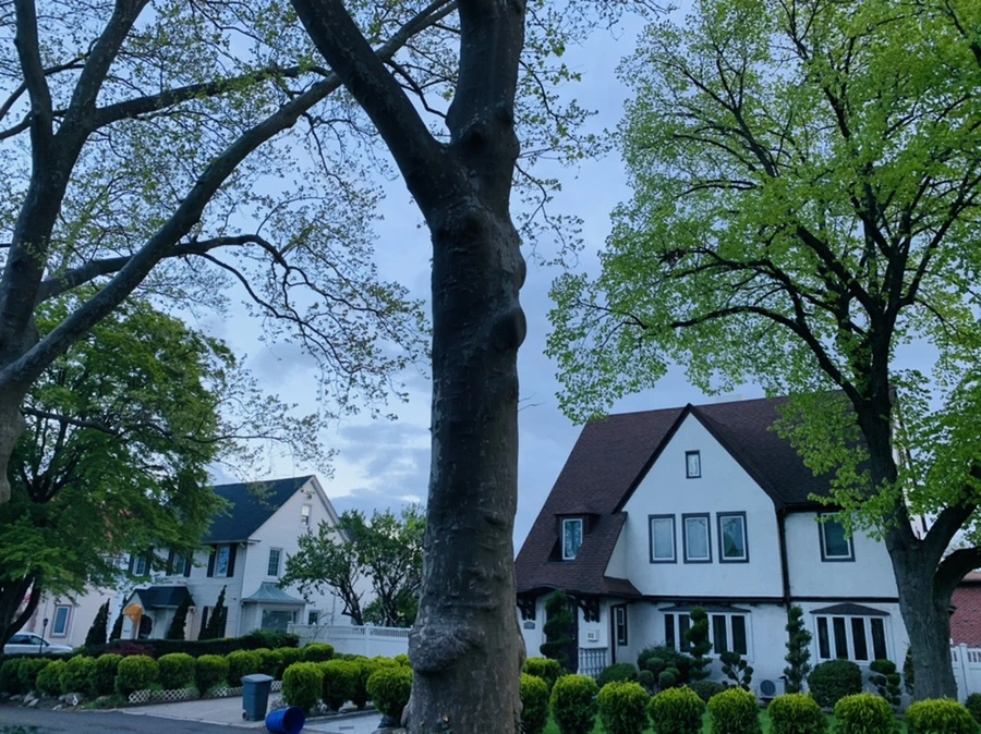 IMG_7551.jpg?type=w966